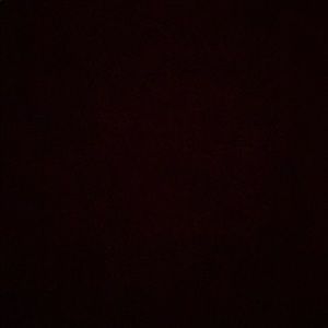 Meet your Posher, Darryl